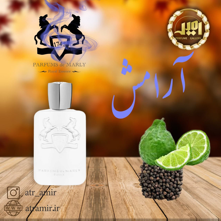 مارلی گالوی