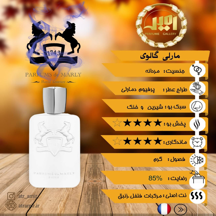 مارلی گالوی