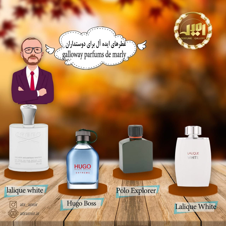 مارلی گالوی