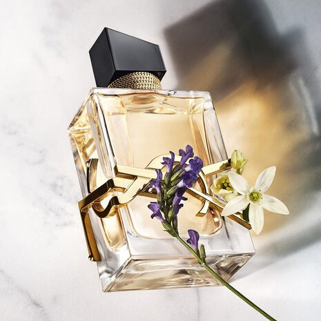 عطر لیبره دیجی کالا